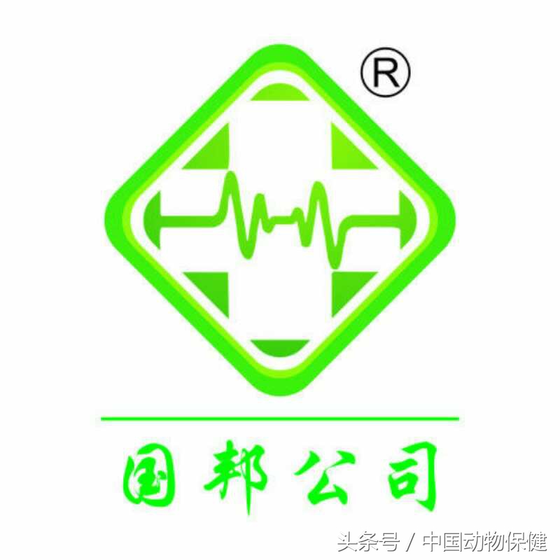 冬季养猪需要注意什么,养猪冬季呼吸道疾病如何预防