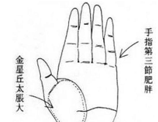手相的相法,手相教程姻缘