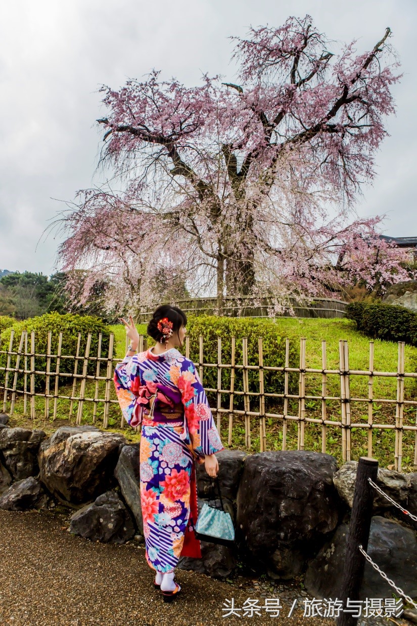 布拉格走马观城,走马观城林茨茨