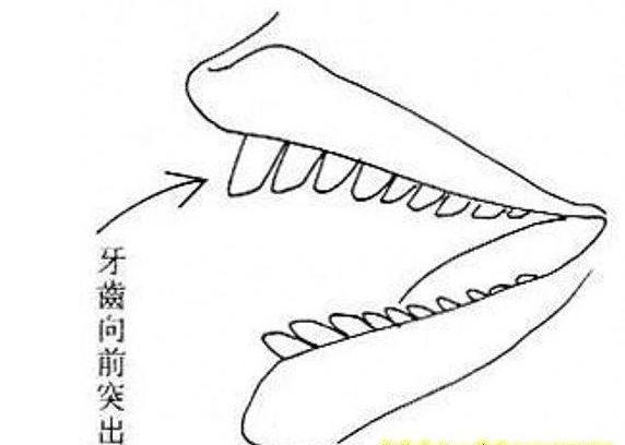 手相的相法,手相教程姻缘