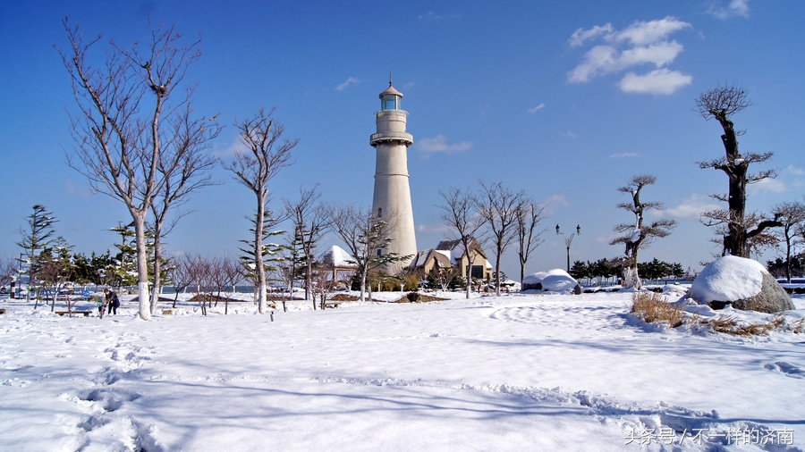 山东区号和车牌,山东省各地市区号大全