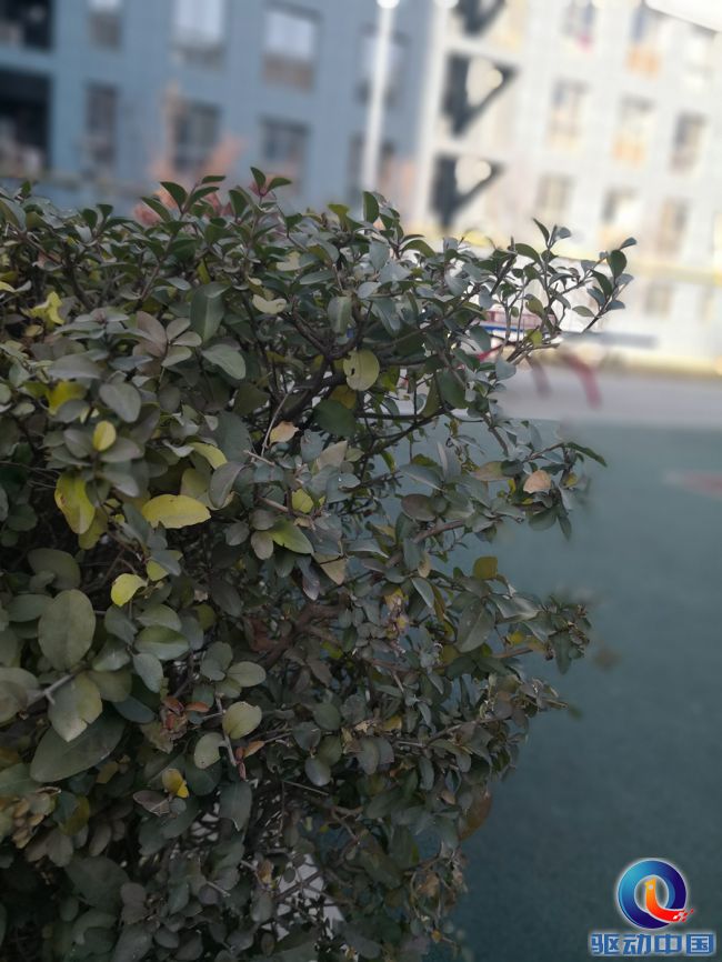 华为mate10搭载麒麟什么芯片,华为mate10支持ai芯片吗