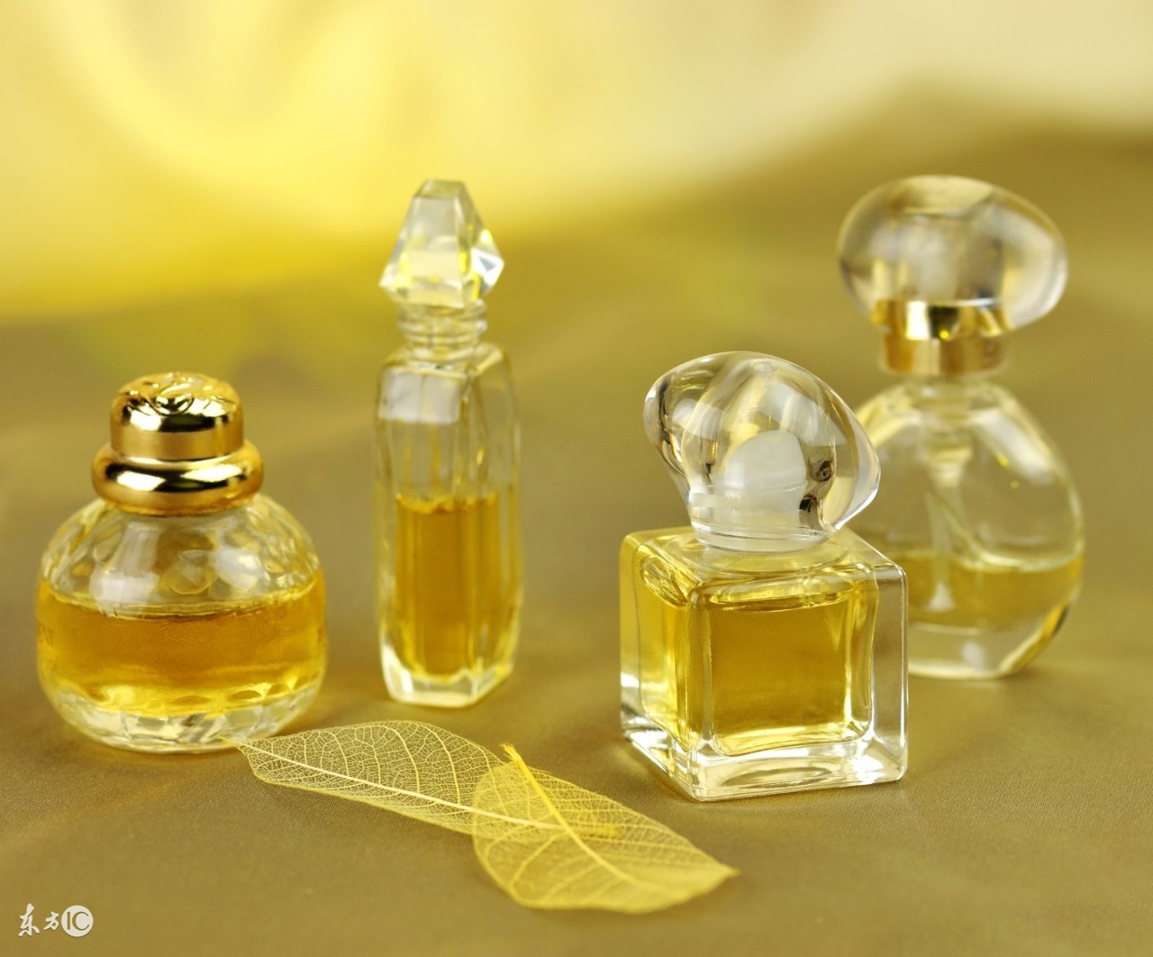 普洱的味道带点发霉味正常吗,买到了不好的普洱怎么办