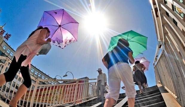 女性容易掉头发的原因及解决方法,女性掉很多头发是什么原因引起的