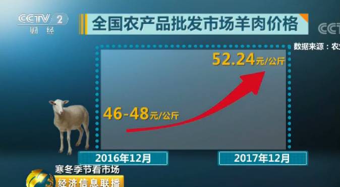 宁波羊肉卷多少钱一斤,十几块钱一斤的羊肉卷