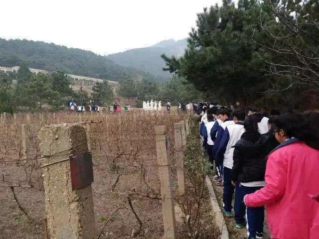 崂山二中学校,青岛市崂山区第二中学怎么样