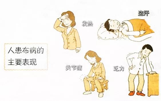 宁波羊肉卷多少钱一斤,十几块钱一斤的羊肉卷