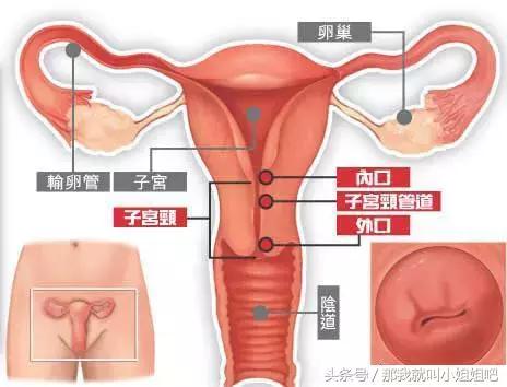明明怀孕了，子宫里却是空的，为什么会这样？孩子去哪儿了？