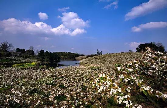 真相了！外地人和永川人谈恋爱会是这样的结局！