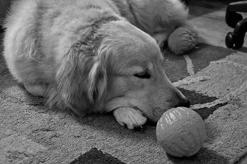 超写实绘画可不只是描绘现实,超写实主义和超写实绘画