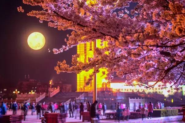 河南旅游景点及门票价格表大全,河南省旅游景点及门票价格表查询