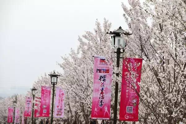 河南旅游景点及门票价格表大全,河南省旅游景点及门票价格表查询
