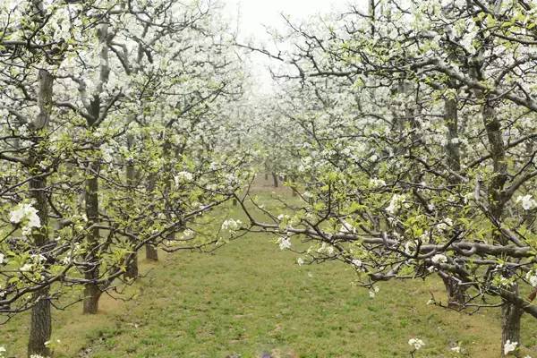 河南旅游景点及门票价格表大全,河南省旅游景点及门票价格表查询