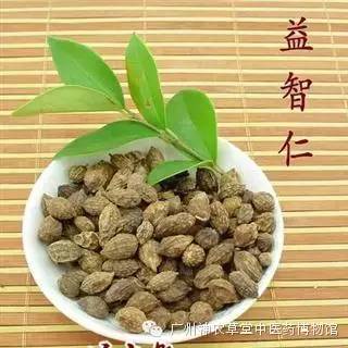 益智仁暖肾固精缩尿温脾,脾虚肾虚乏力中药处方