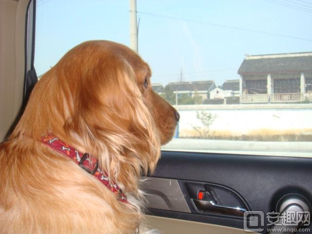 好玩的游戏推荐画风超美的休闲的,耐玩打发时间的游戏