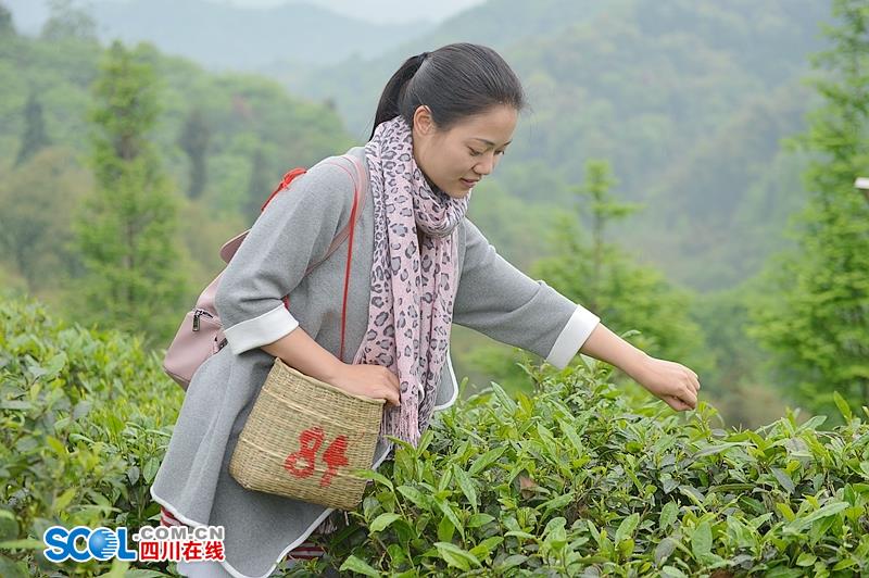 成都都江堰市达人探店,都江堰旅游达人