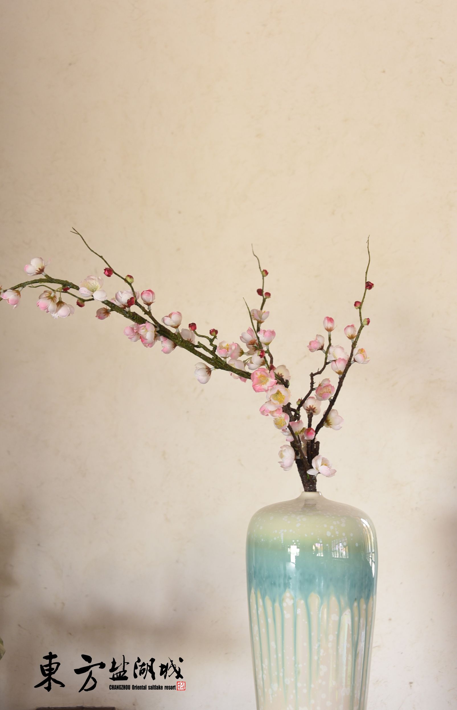 梦入桃花源现代版,梦入桃花源完整版