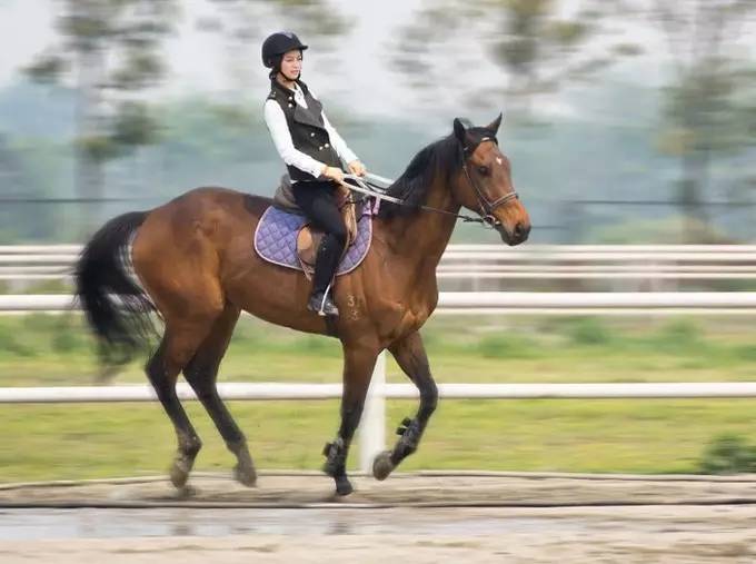 五一好去处~除了竹海善卷洞，宜兴的这些地方也很美~