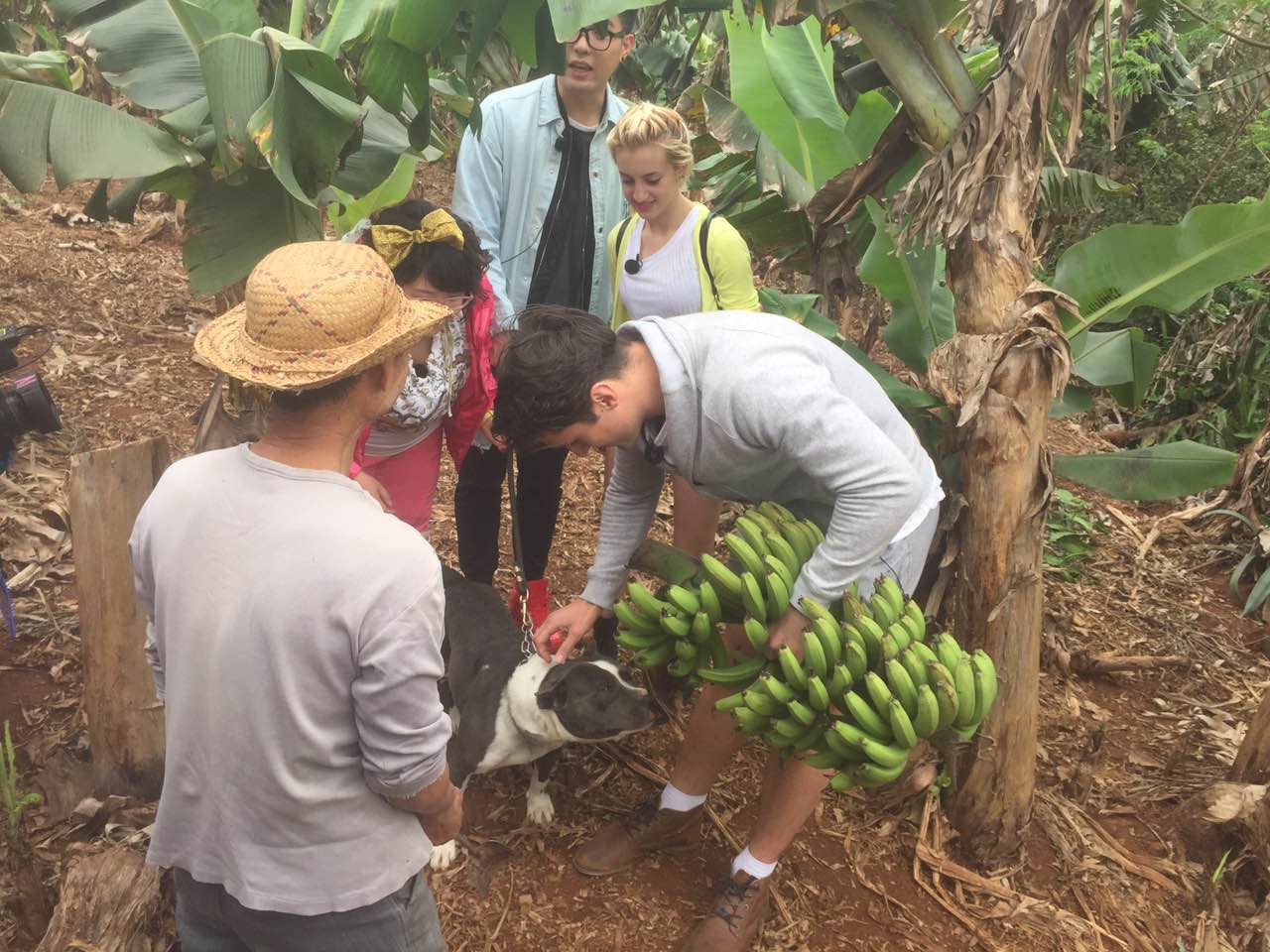 涠洲岛二日游攻略作文700字,6个人怎么玩转涠洲岛