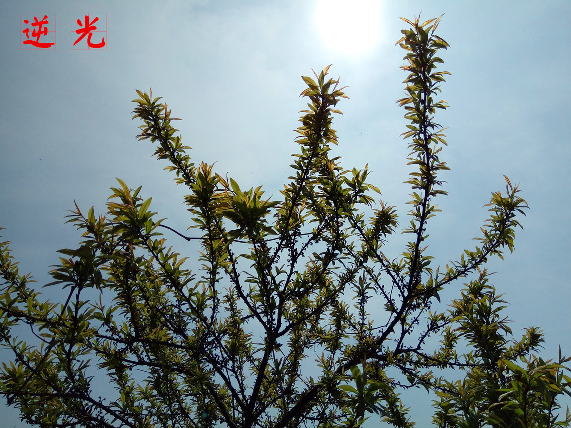 4在必得：360手机F4全体验