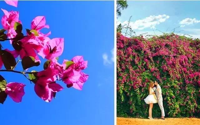 五一出行100分推荐，人少景美文艺到爆