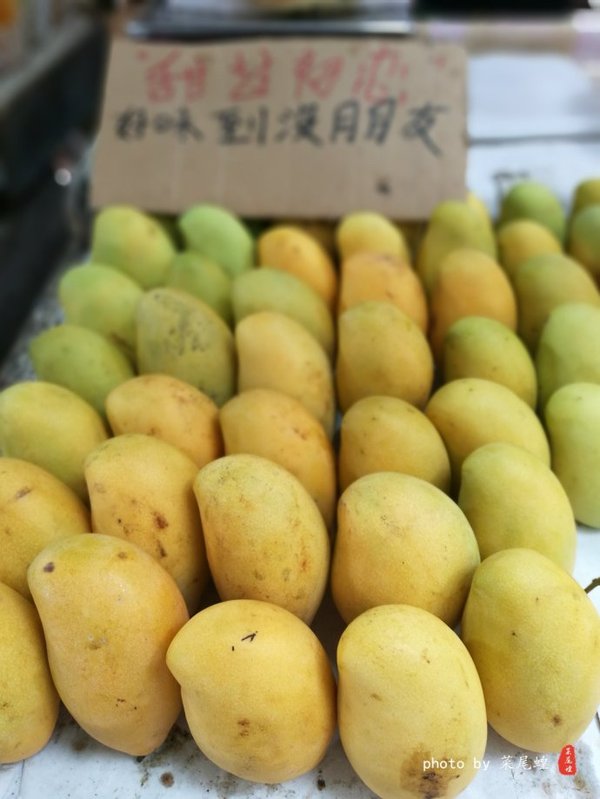 珊瑚海日本,陪你去看海底世界