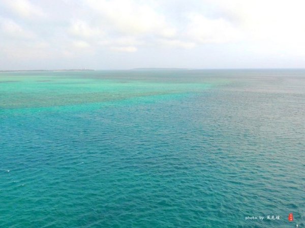 珊瑚海日本,陪你去看海底世界