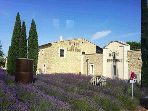 薰衣草基地游玩攻略图文大全,薰衣草节旅游攻略