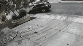 搞笑gif趣图这回头一笑绝了,张译笑得喷饭gif