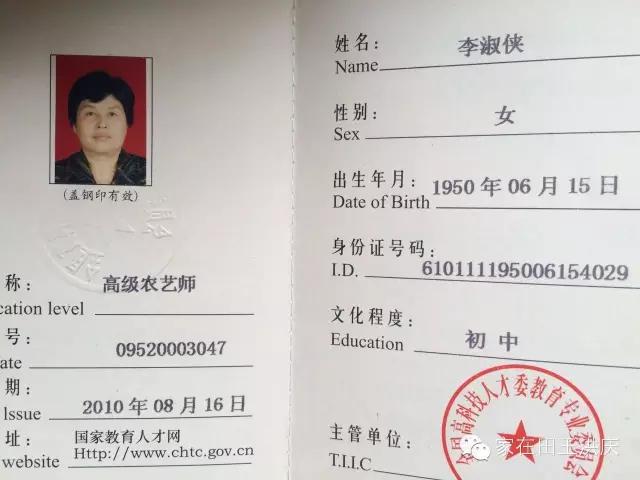 白鹿原采摘大樱桃,去白鹿原采摘樱桃