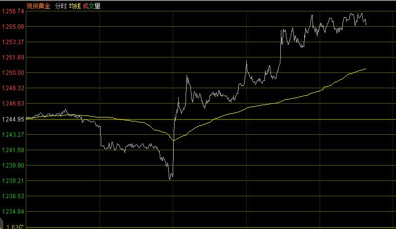 毛利哥点掌财经最近视频,点掌财经毛利哥是谁