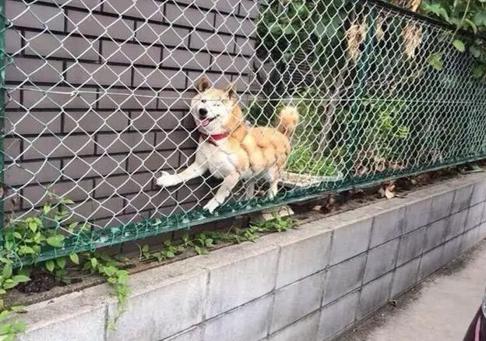 一个科技生活类公号竟有200万粉丝？大写的NB!