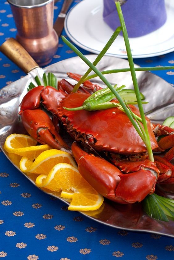 帕劳旅游报价携程,帕劳深度旅游攻略