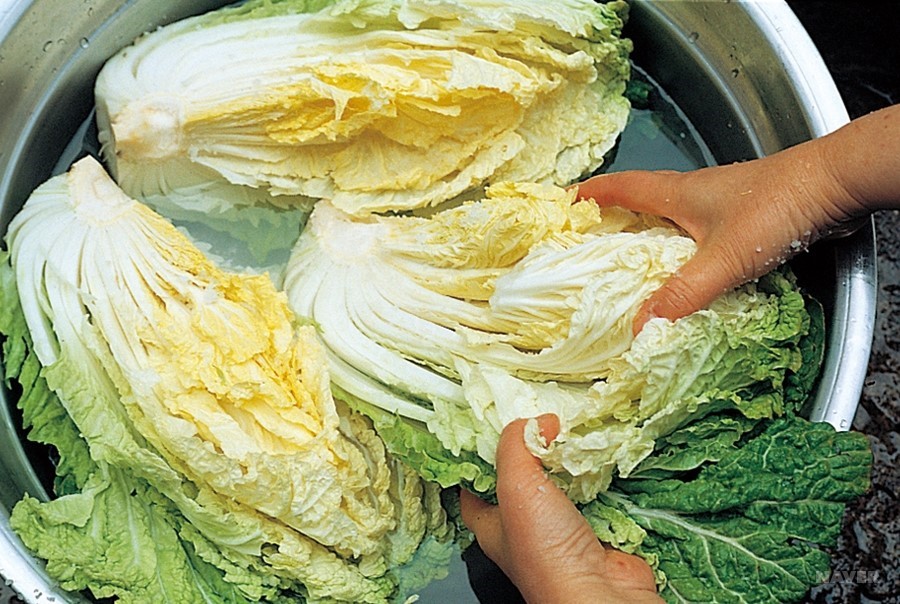 正宗韩式泡菜炒五花肉,用韩式泡菜酱做萝卜正宗做法