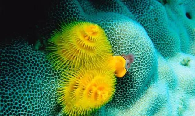 越南岘港旅游攻略必看,签证越南要多少钱