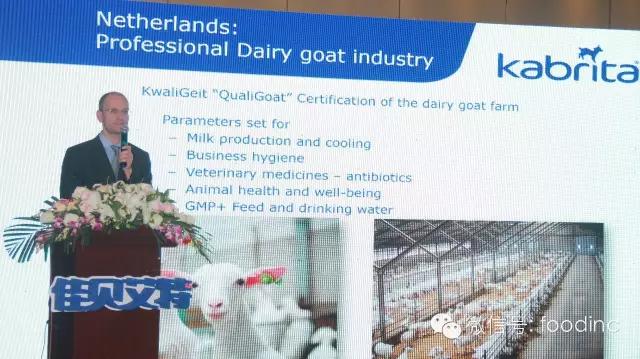 国产羊奶粉会不会比进口便宜,中国羊奶粉最近咋样