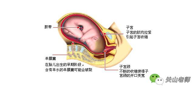孕晚期的三种表现,孕晚期哪几种表现要去医院