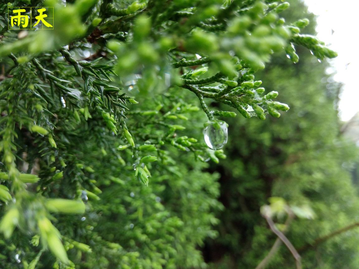 4在必得：360手机F4全体验