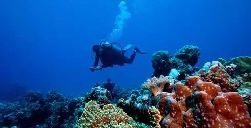 帕劳旅游报价携程,帕劳深度旅游攻略