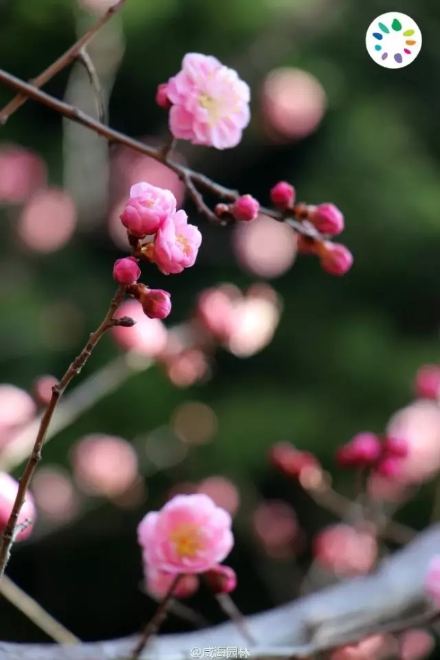 我叫威海，这是我的最新简历，请多关照！