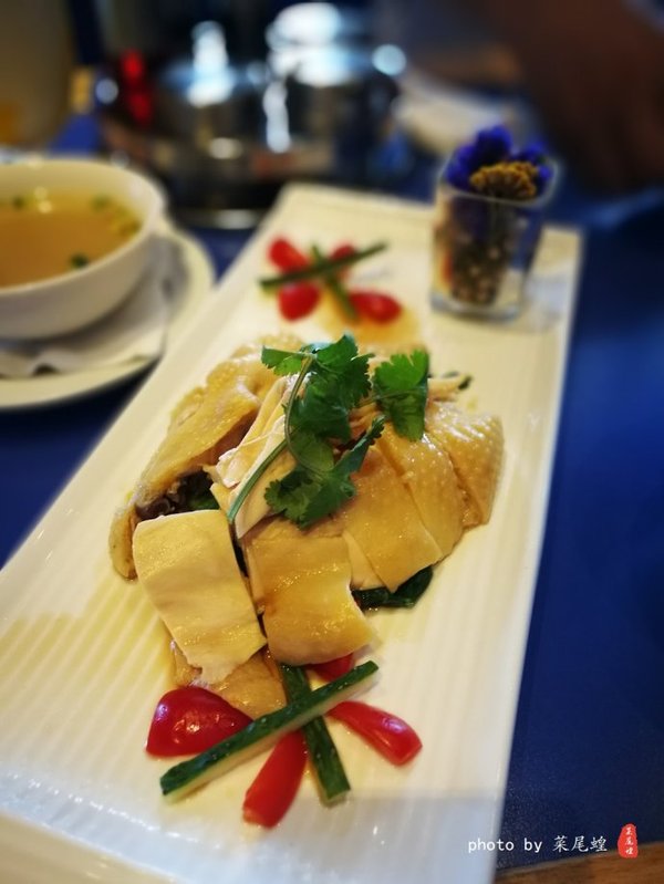 珊瑚海日本,陪你去看海底世界