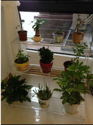 农村平房欧式土豪装修,欧式简约装修实拍