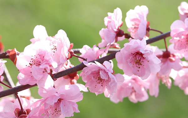 月经病调理经验,紧张害怕焦虑恐惧中医怎么调理