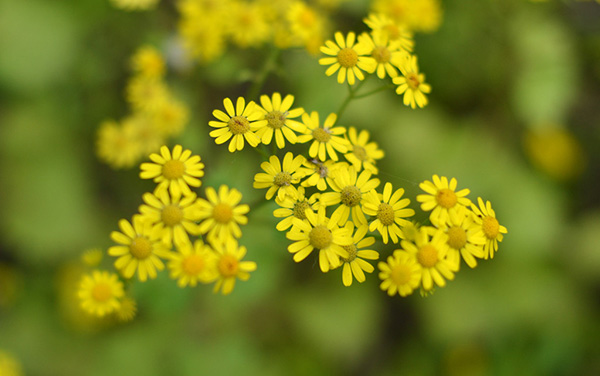 月经病调理经验,紧张害怕焦虑恐惧中医怎么调理