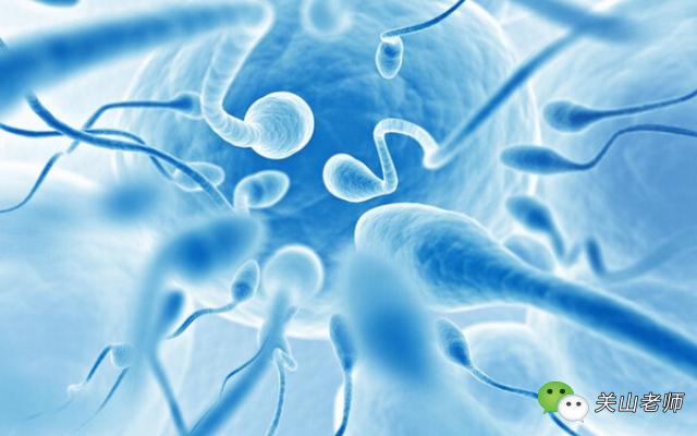 这4个时间点不宜怀孕一定要避开，不然会生出低能宝宝