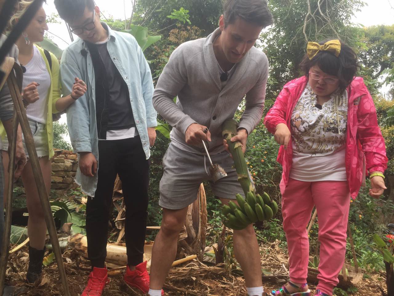 涠洲岛二日游攻略作文700字,6个人怎么玩转涠洲岛