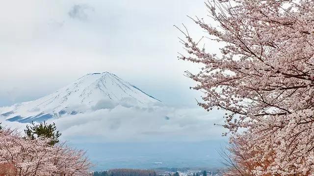 旅游购物美食退税规定,国外旅游购物退税