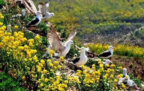 我叫威海，这是我的最新简历，请多关照！