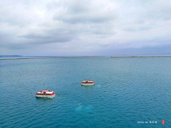 珊瑚海日本,陪你去看海底世界