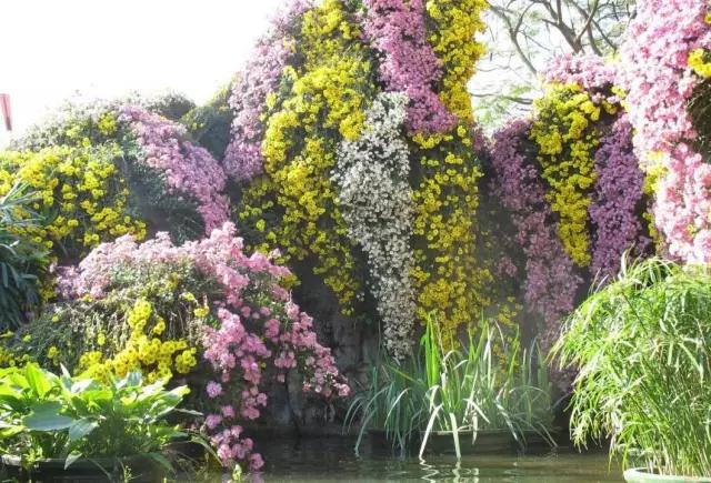 深圳看海公园推荐,深圳哪个湖最好玩又漂亮